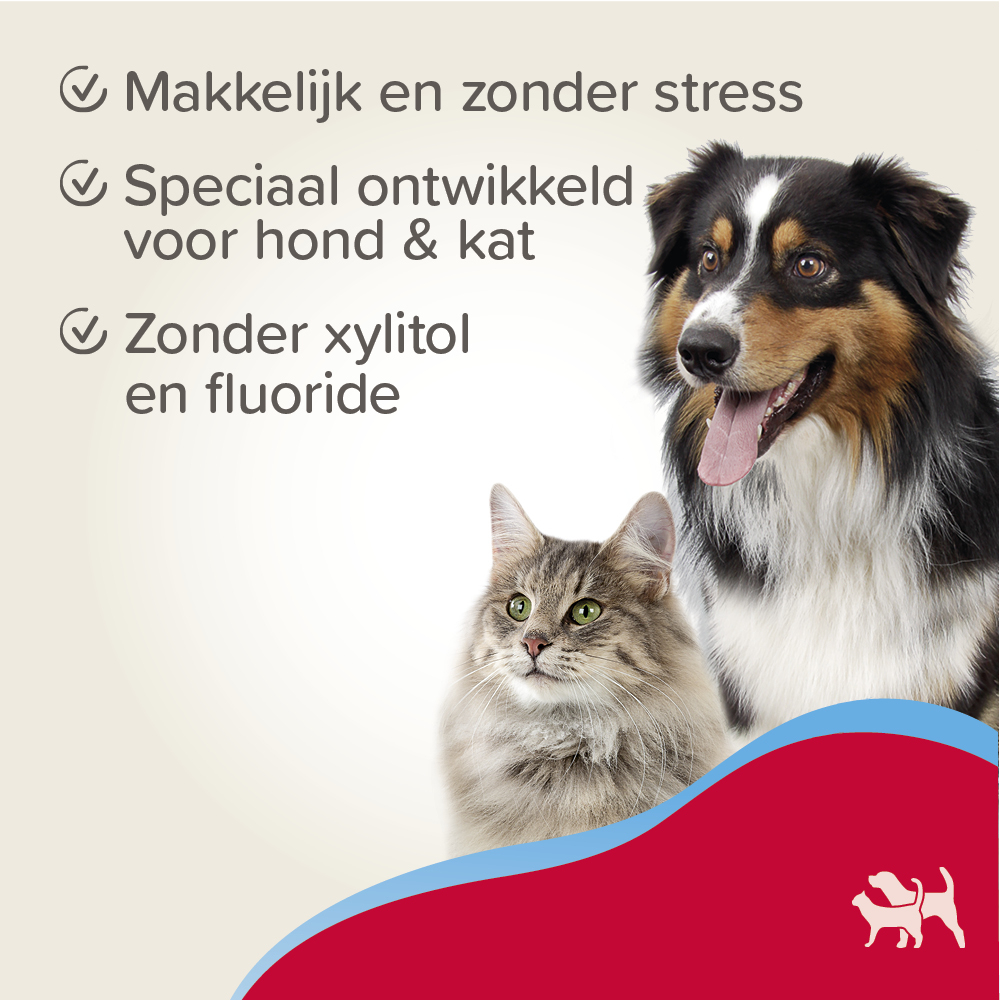 Beaphar Tandgel 100g