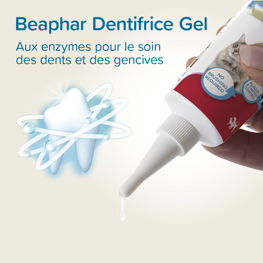 Dentifrice gel haleine fraîche pour chien et chat