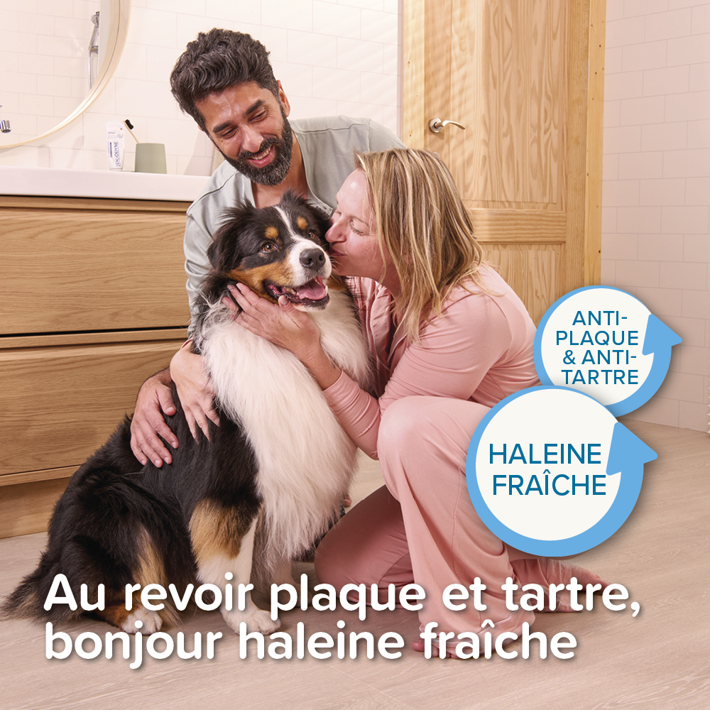 Dentifrice gel haleine fraîche pour chien et chat