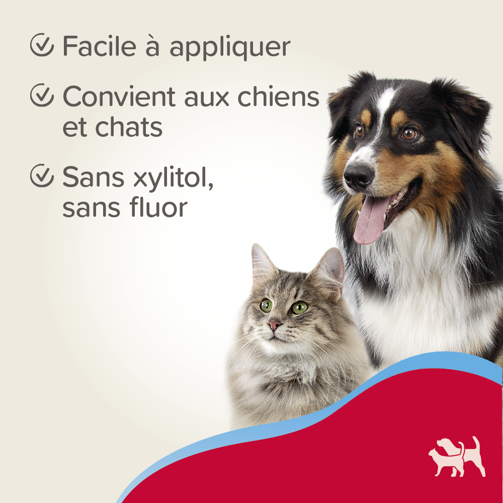 Dentifrice gel haleine fraîche pour chien et chat