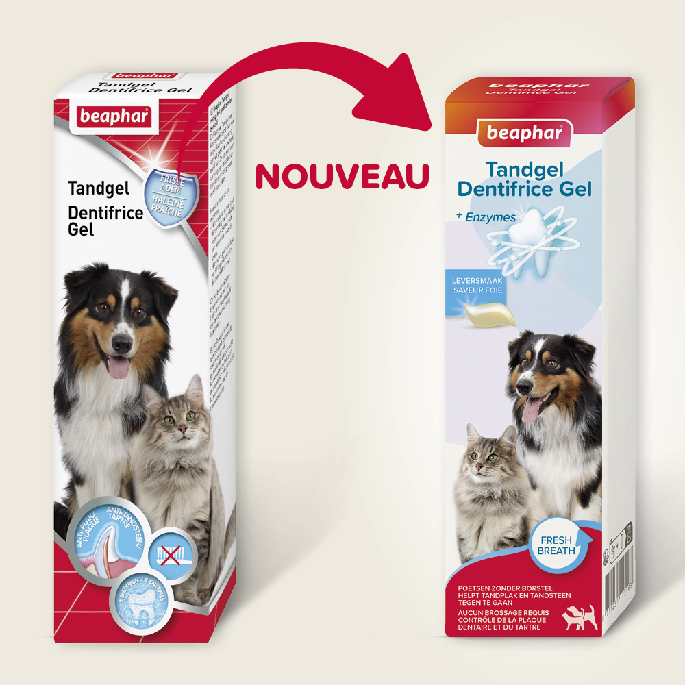 Dentifrice gel haleine fraîche pour chien et chat