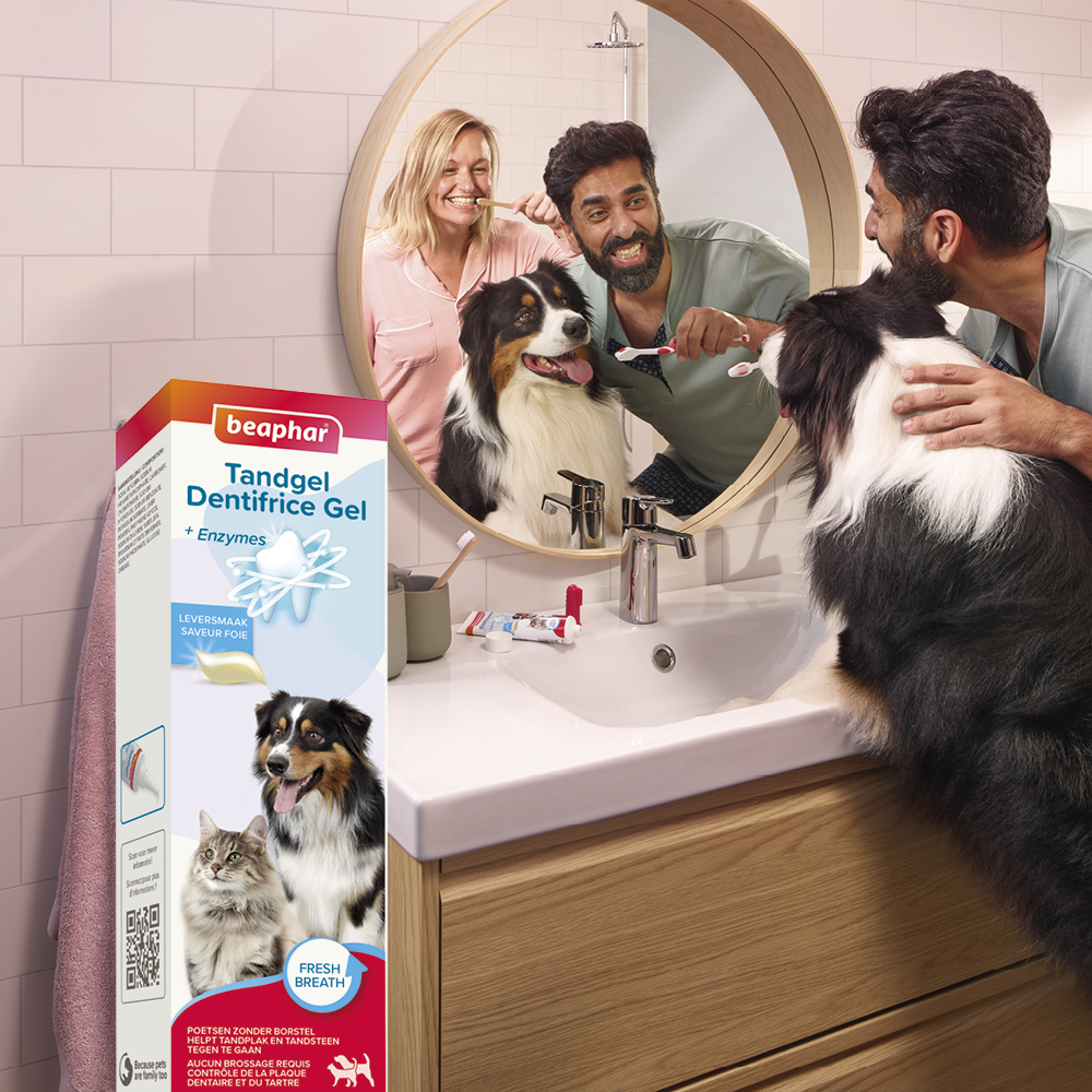 Dentifrice gel haleine fraîche pour chien et chat