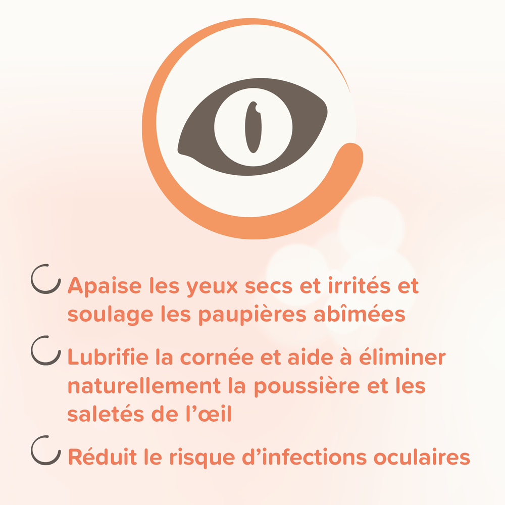 Pommade Oculaire - 5 ml