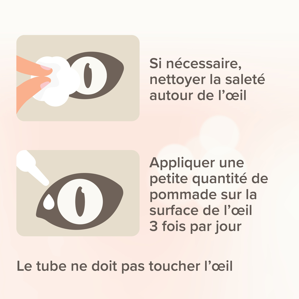 Pommade Oculaire - 5 ml