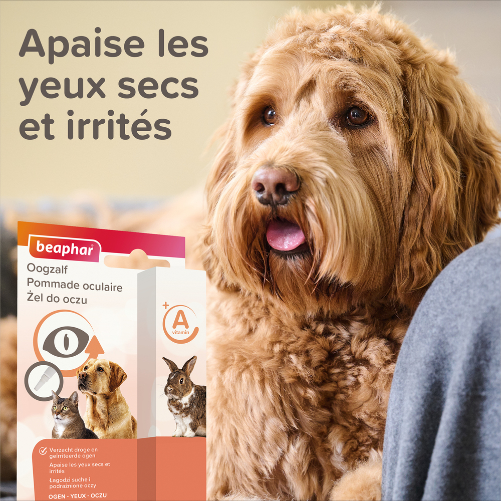 Pommade Oculaire - 5 ml