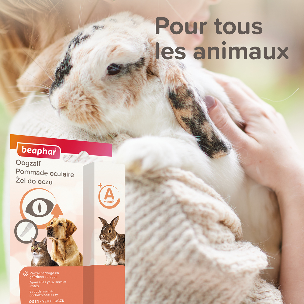 Pommade Oculaire - 5 ml