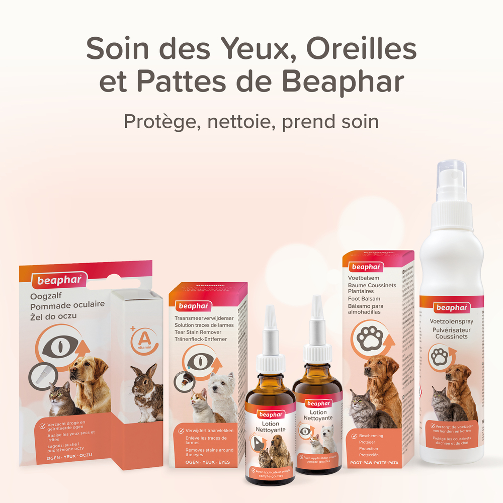 Lotion nettoyante pour les oreilles pour chien et chat - 50 ml