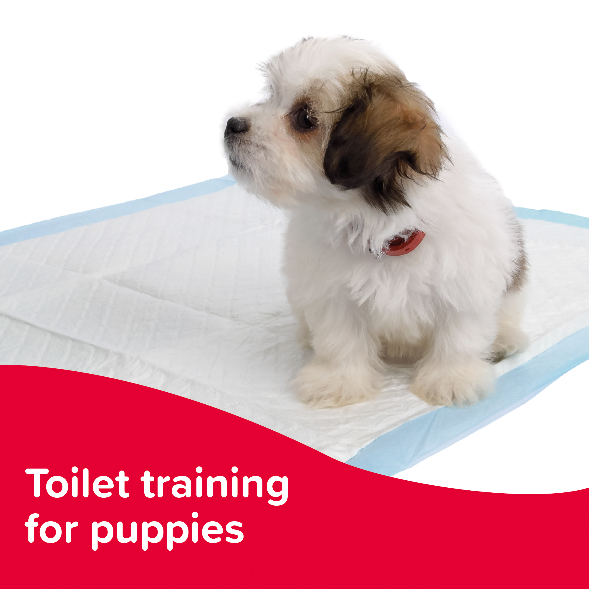 Beaphar Puppy Toilet Trainer 20ml