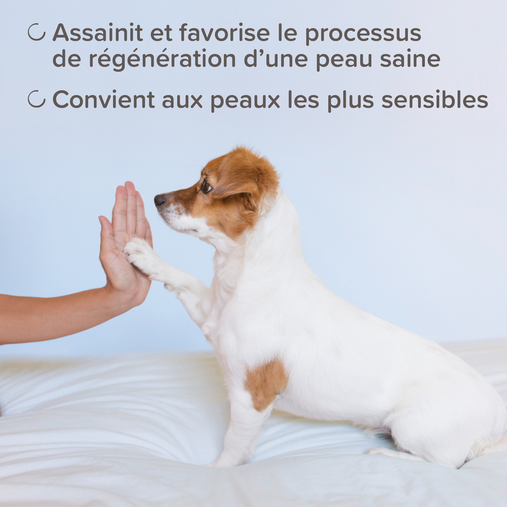 DermaCare, Shampoing assainissant pour chien et chat