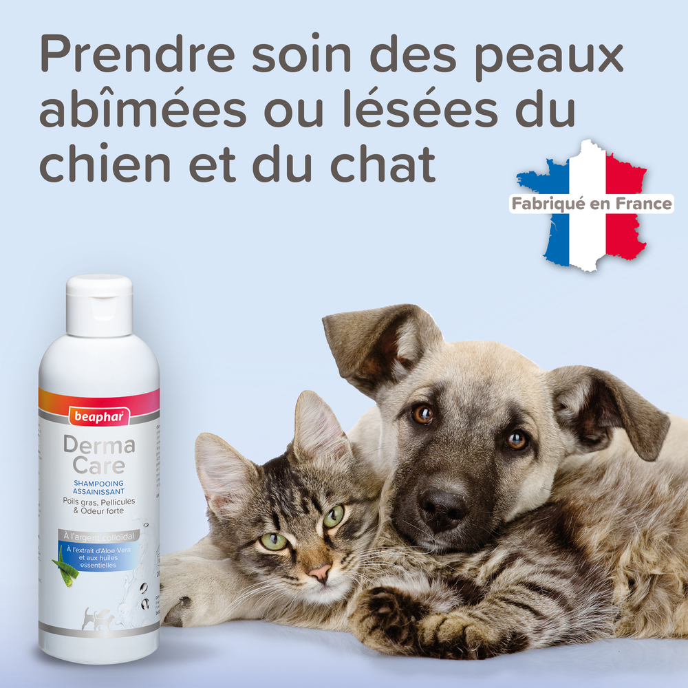 DermaCare, Shampoing assainissant pour chien et chat
