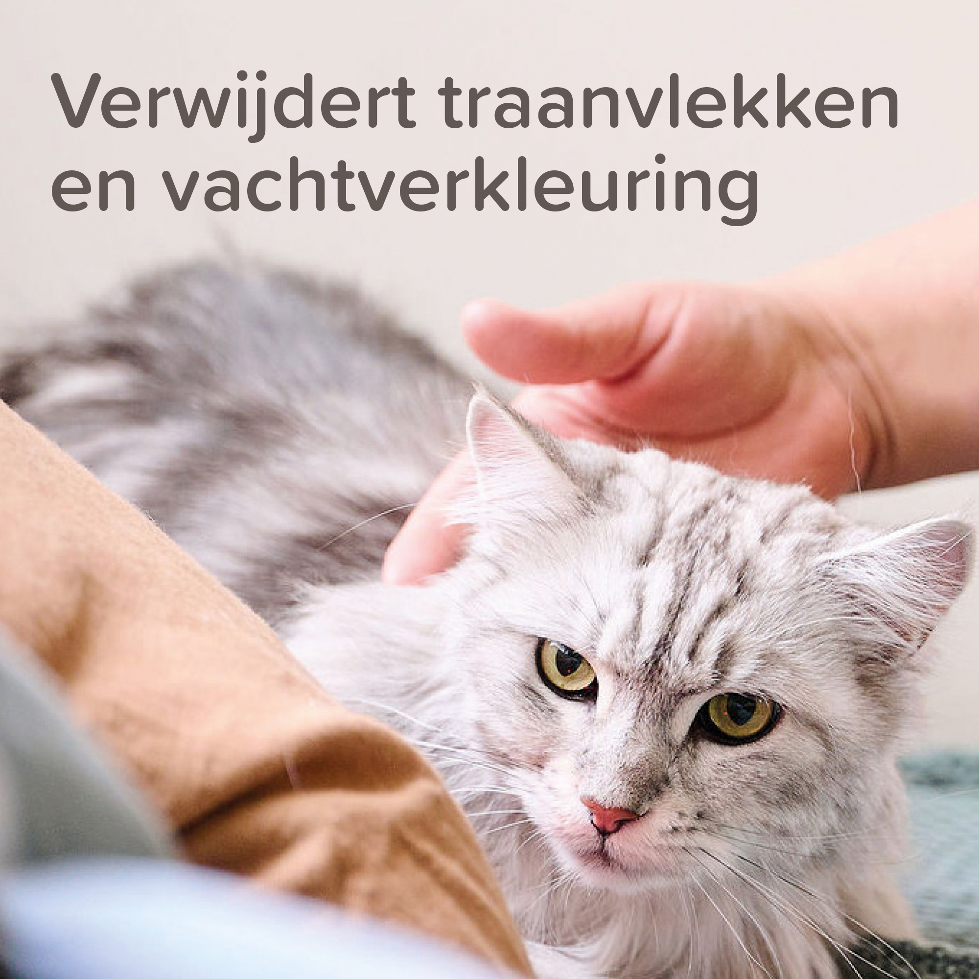 Beaphar Traansmeerverwijderaar 50ml