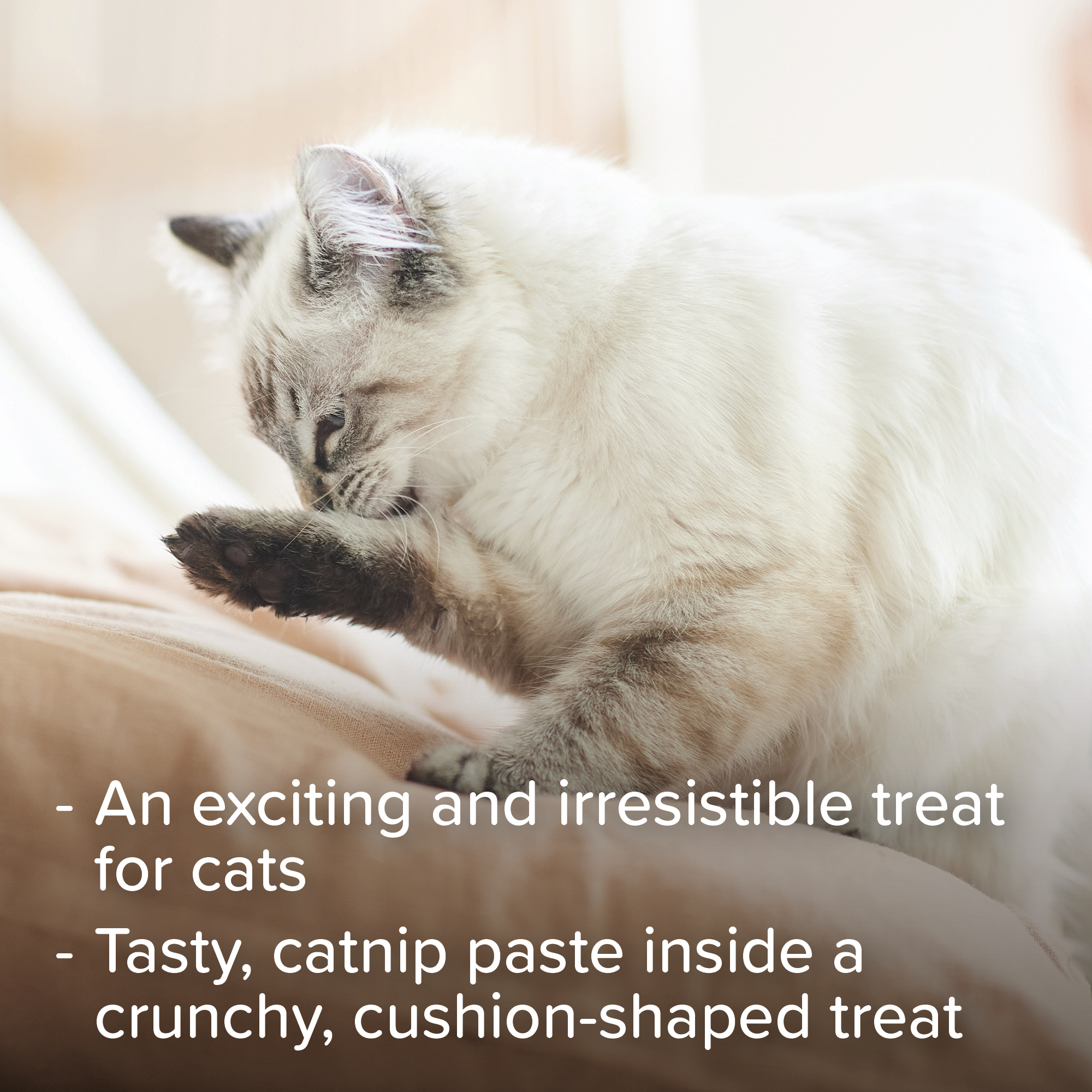 Beaphar Catnip Bits for Cats, 75 treats