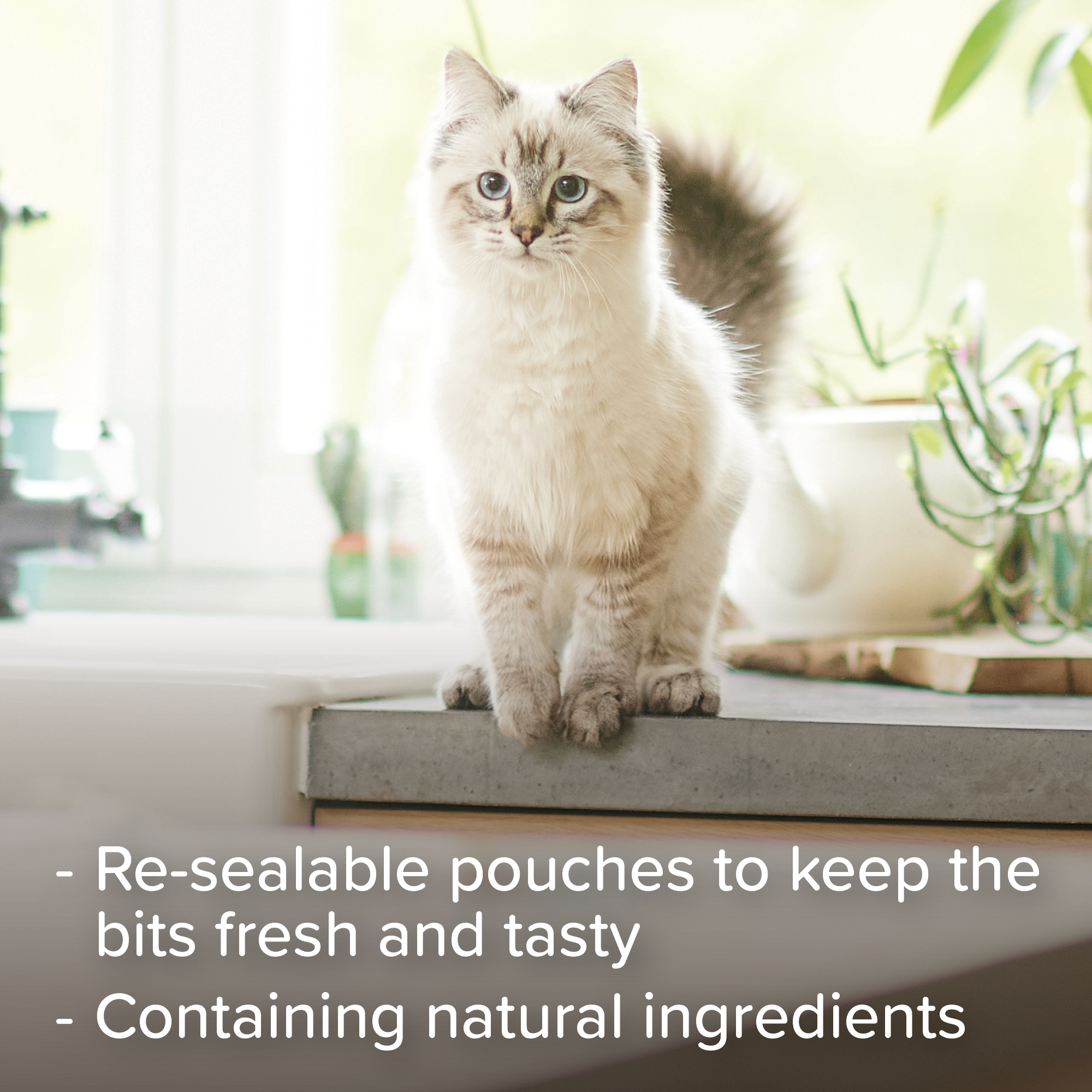 Beaphar Catnip Bits for Cats, 75 treats