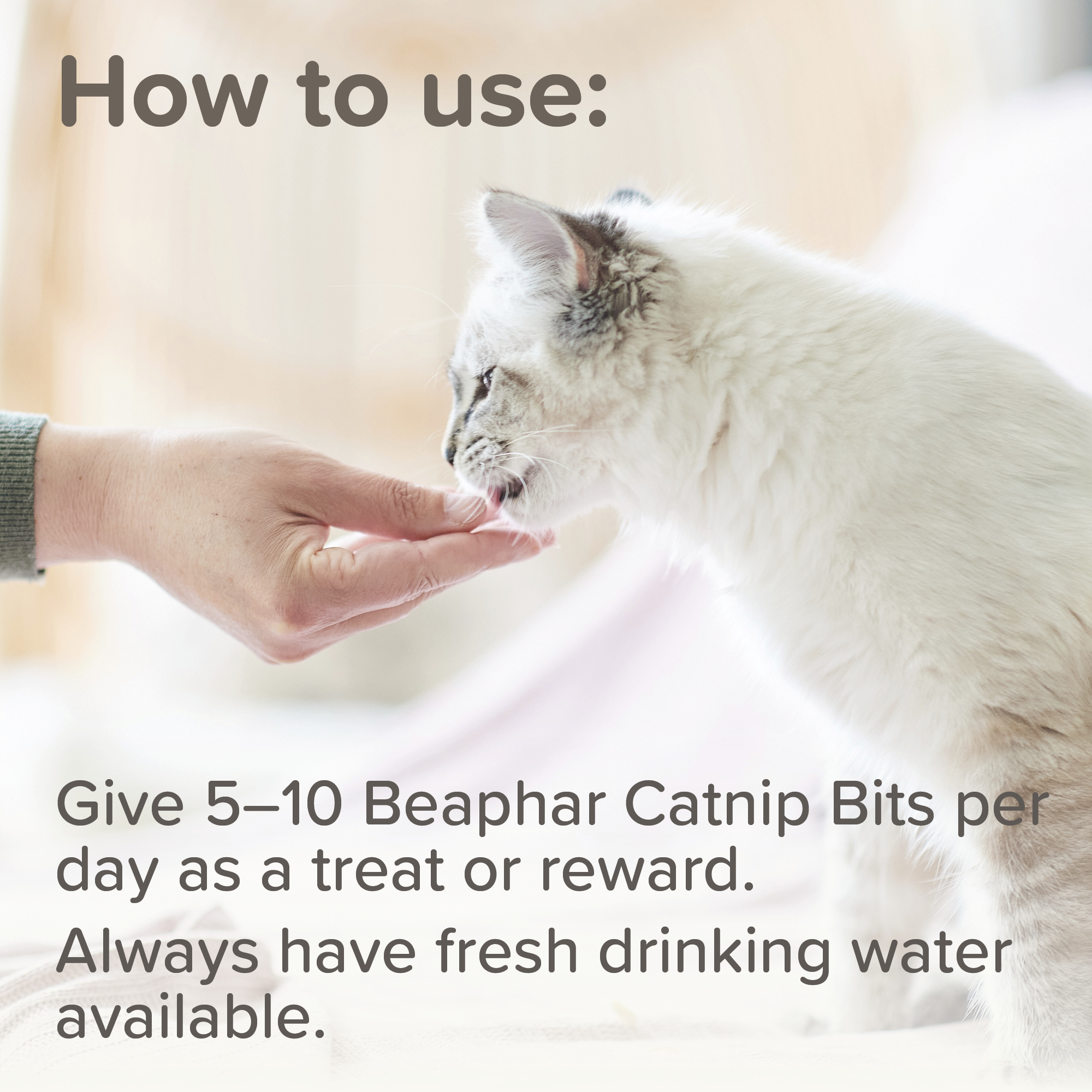 Beaphar Catnip Bits for Cats, 75 treats