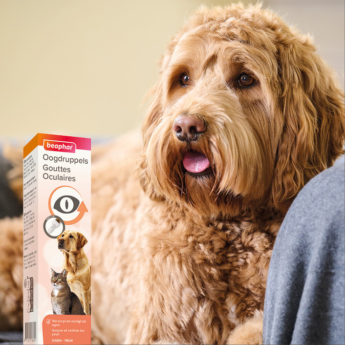 Beaphar Oogdruppels 50ml