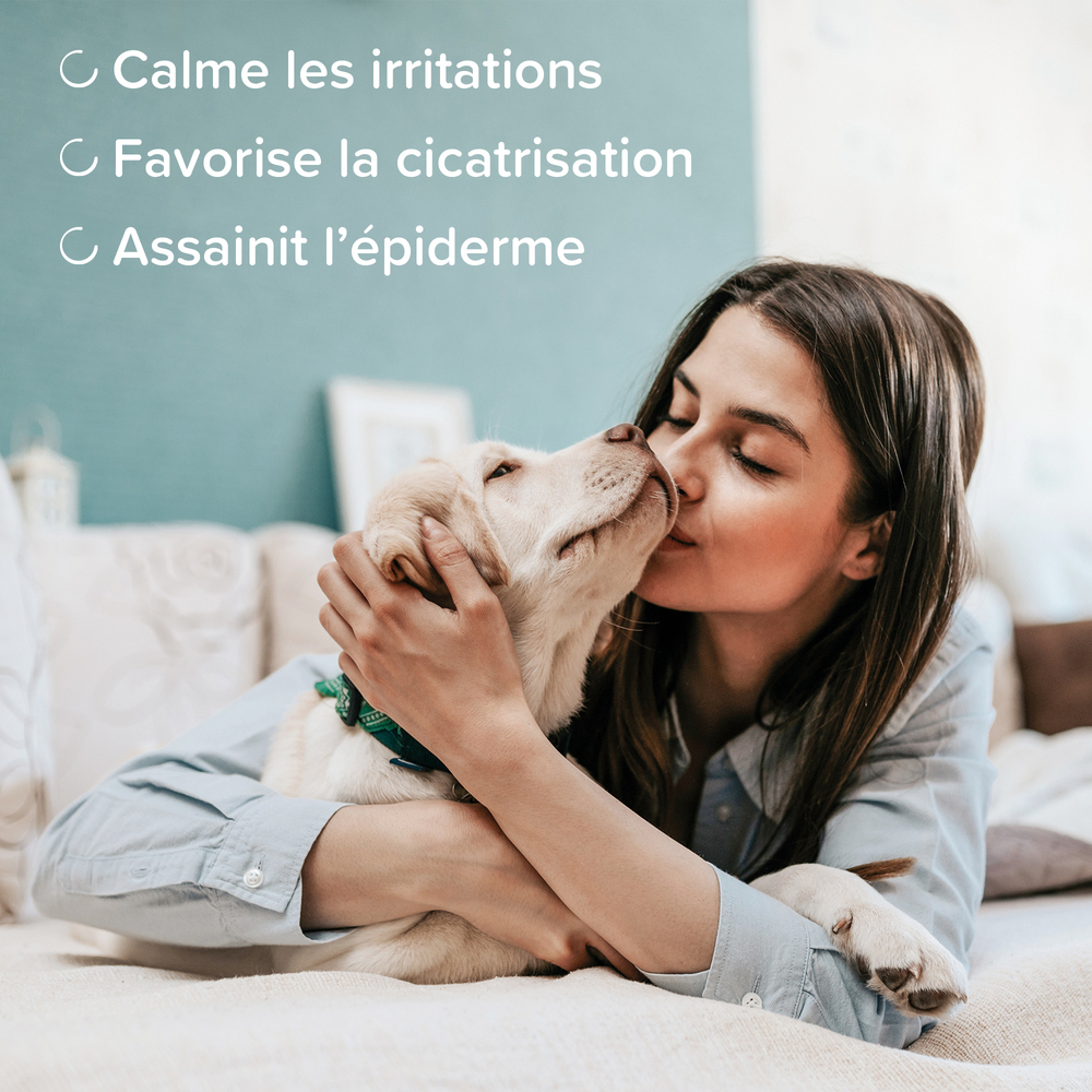 DermaCare, Crème réparatrice pour chien et chat