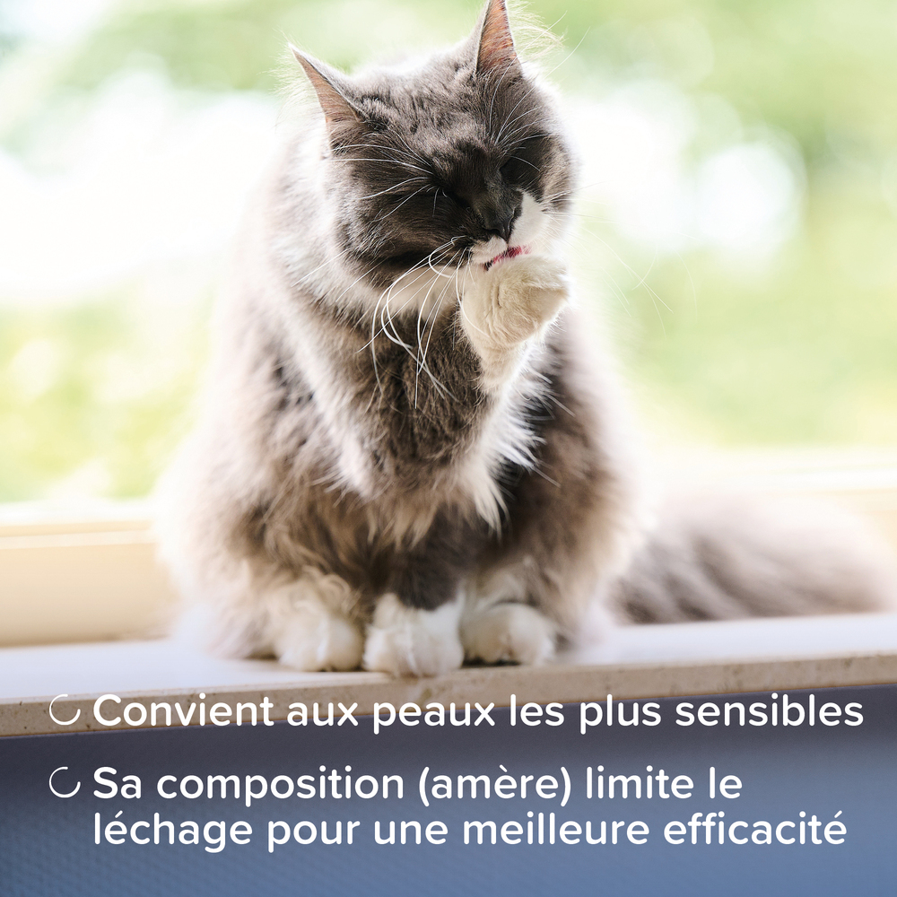 DermaCare, Crème réparatrice pour chien et chat