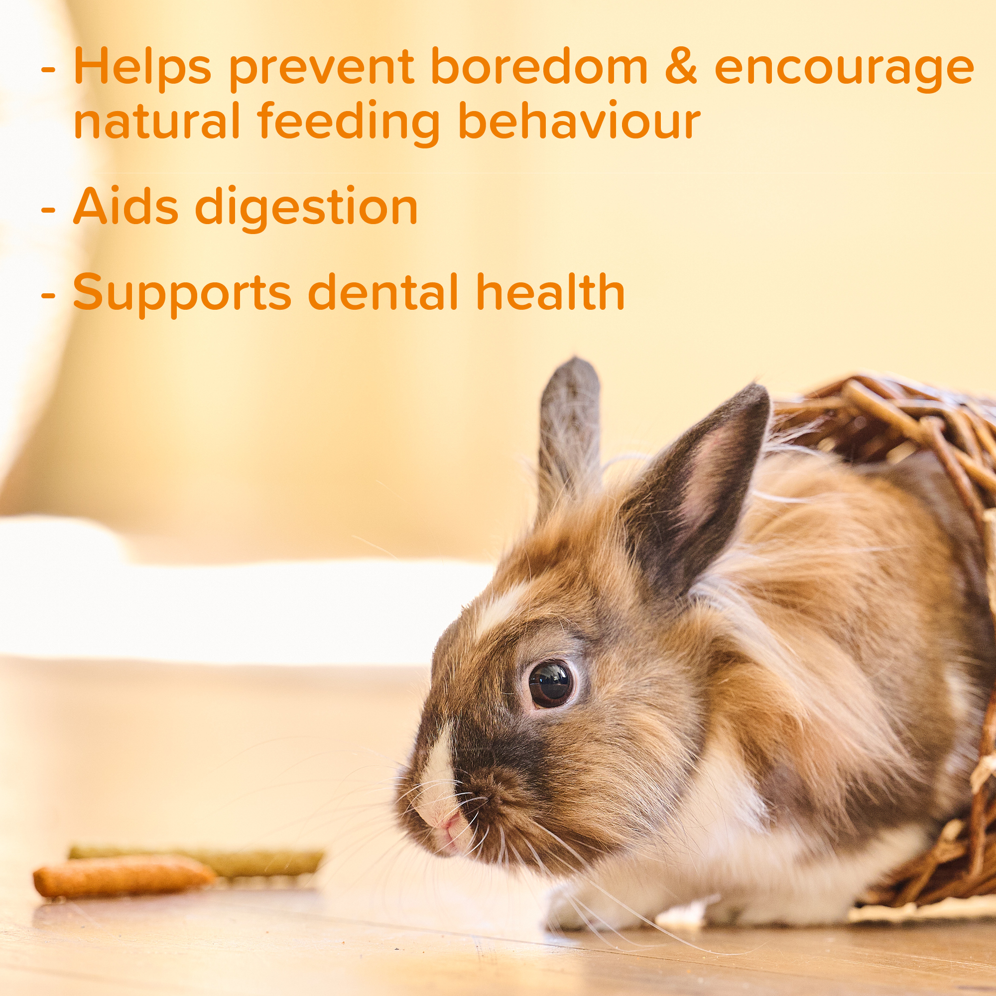 Beaphar Munching Sticks for Rabbits, Guinea Pigs, Hamsters and other small animals, 150g