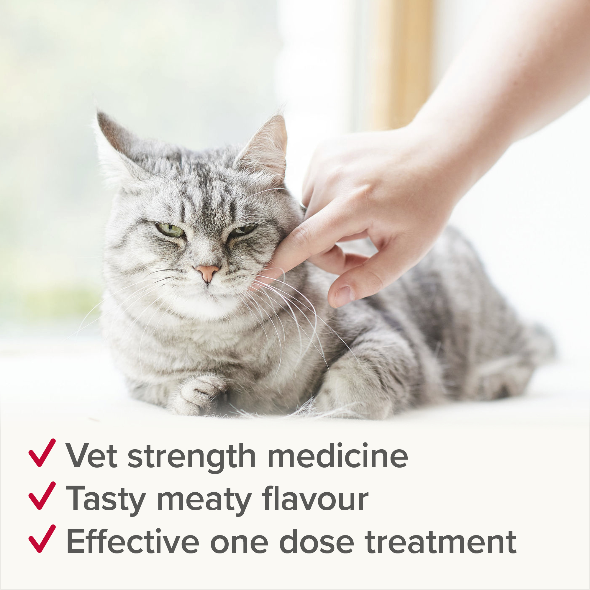 Beaphar WORMclear® Tablets for Cats - 2 Tablets