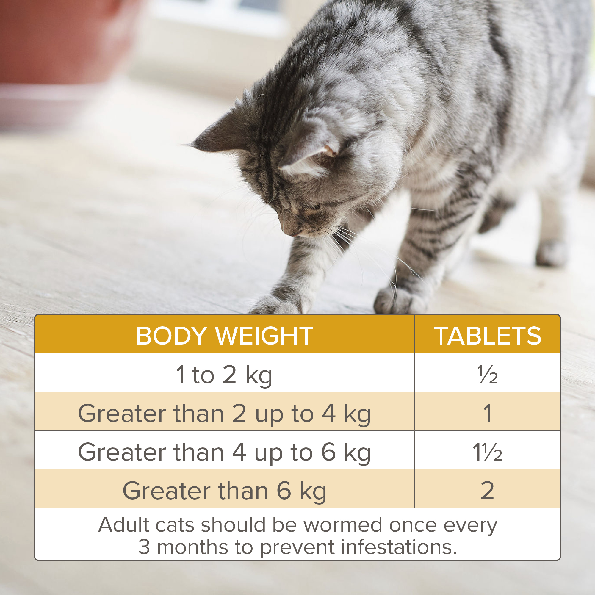 Beaphar WORMclear® Tablets for Cats - 2 Tablets