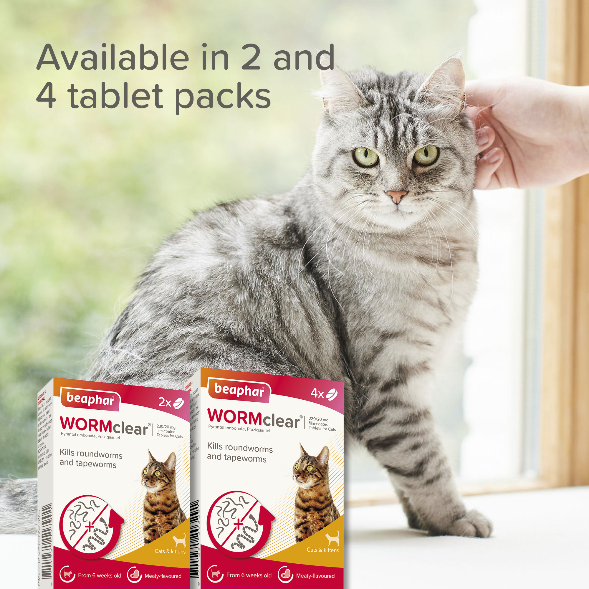 Beaphar WORMclear® Tablets for Cats - 2 Tablets