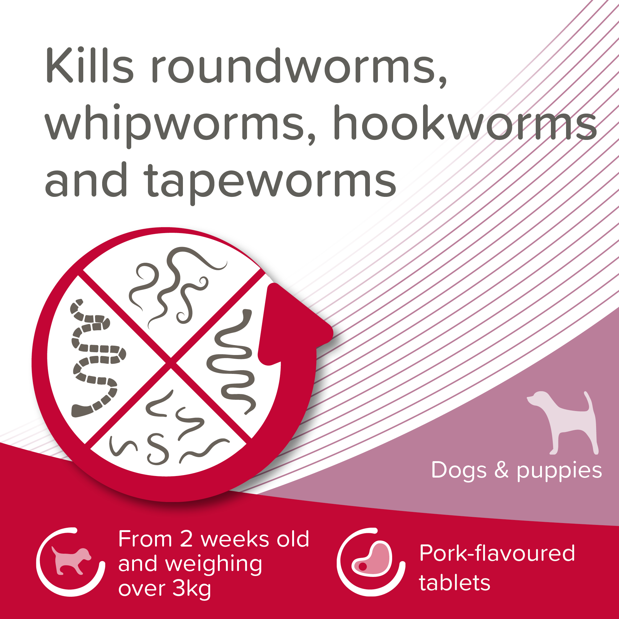 Beaphar WORMclear® Worming Tablets for Dogs (up to 20kg) – 2 Tablets