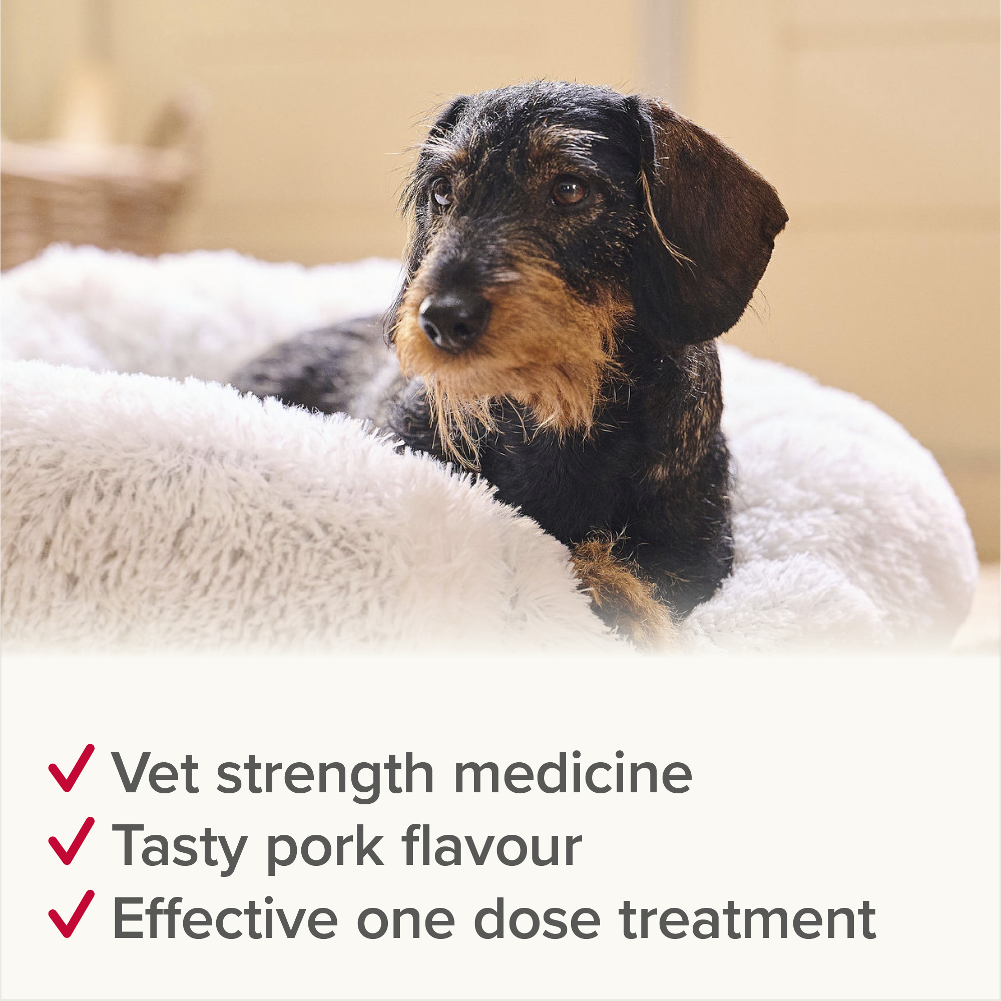 Beaphar WORMclear® Worming Tablets for Dogs (up to 20kg) – 2 Tablets