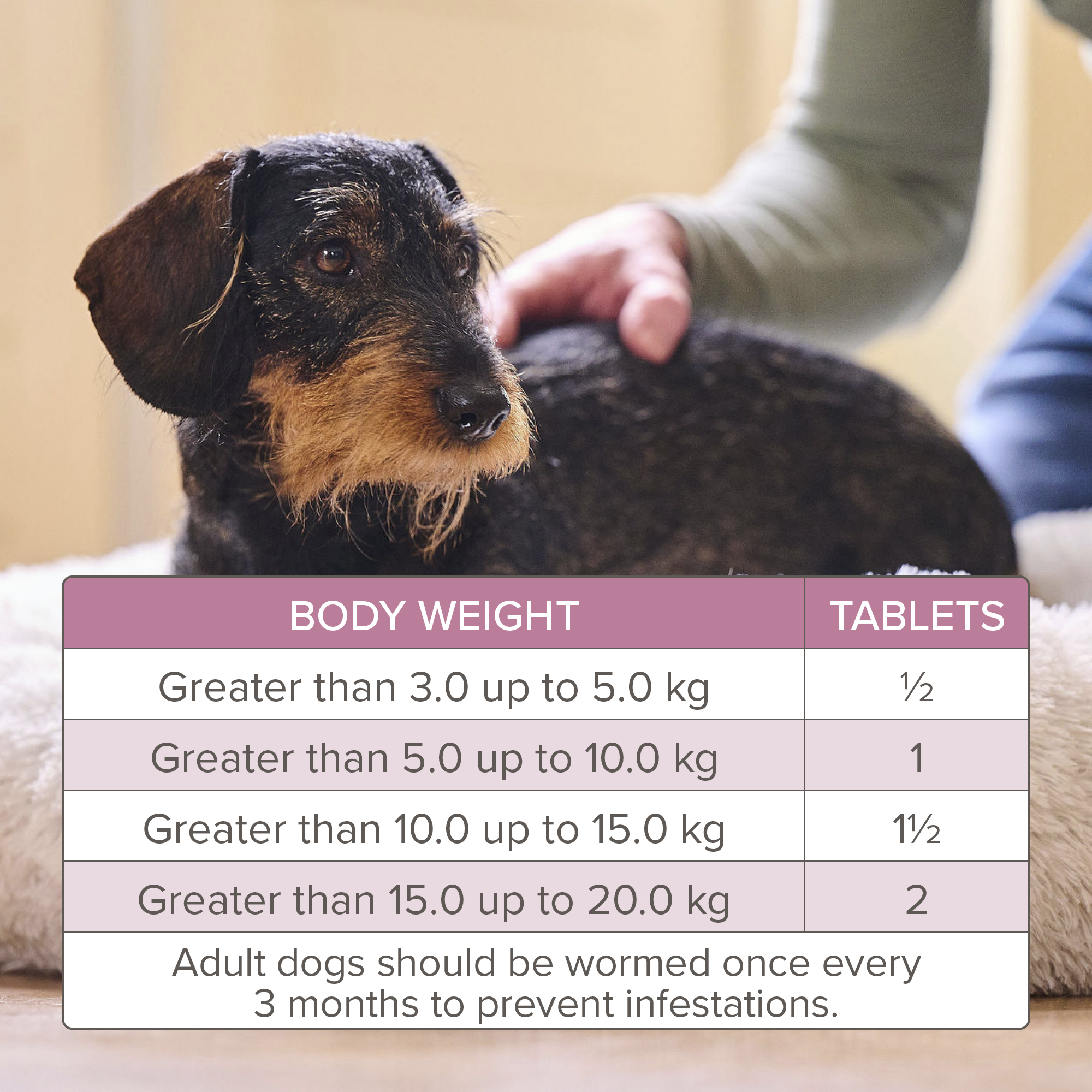 Beaphar WORMclear® Worming Tablets for Dogs (up to 20kg) – 2 Tablets