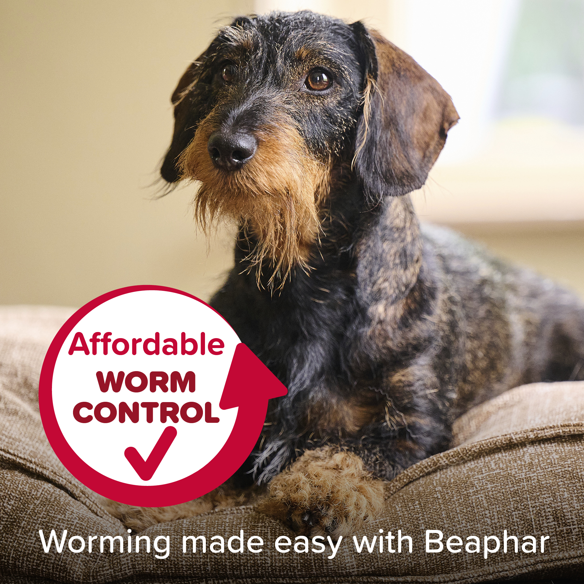 Beaphar WORMclear® Worming Tablets for Dogs (up to 20kg) – 2 Tablets