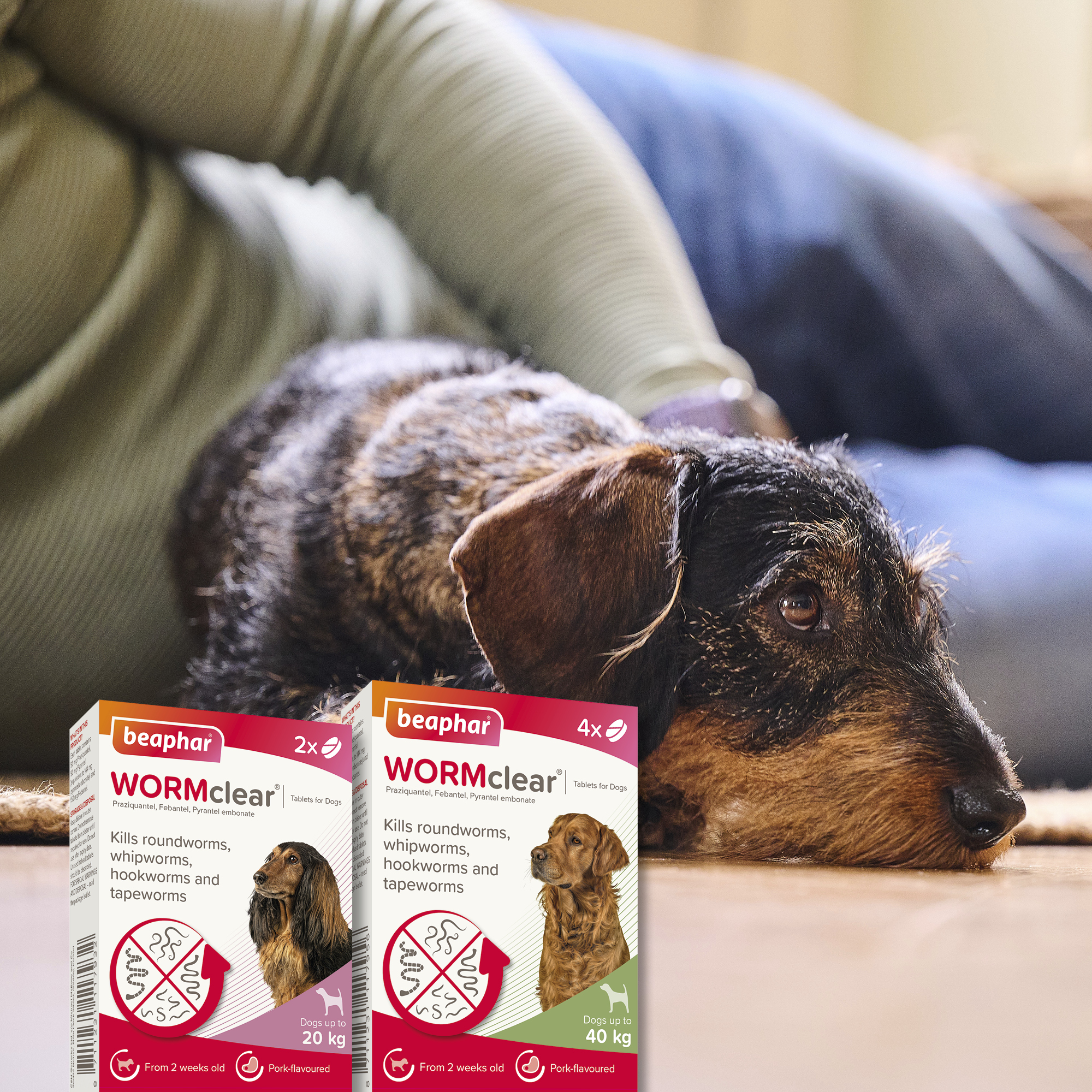 Beaphar WORMclear® Worming Tablets for Dogs (up to 20kg) – 2 Tablets