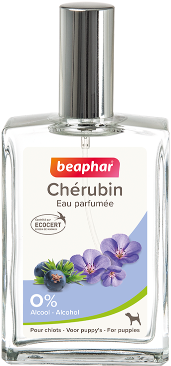 Parfum Chérubin Puppy 50ml