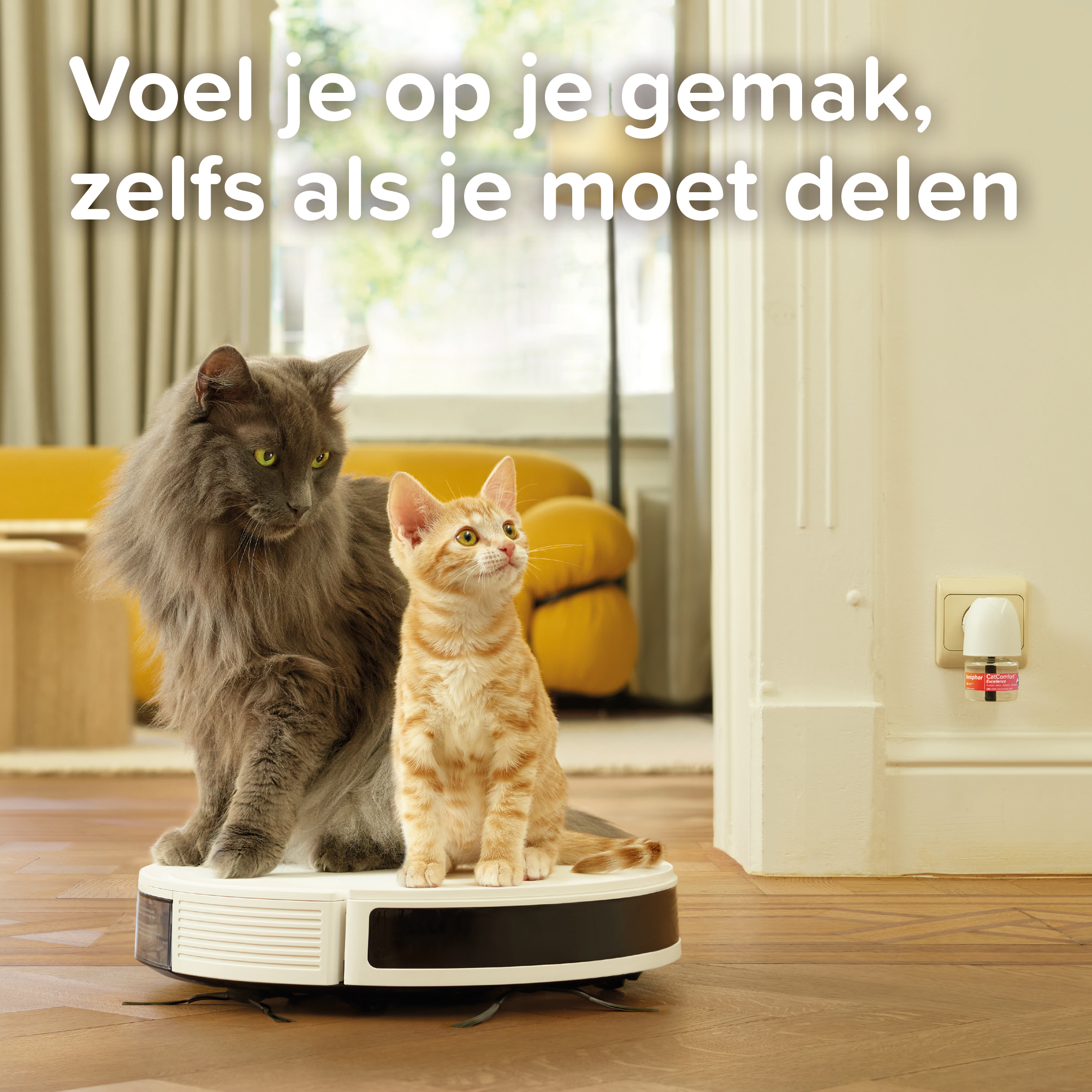 Beaphar CatComfort Excellence Verdamper & Vulling