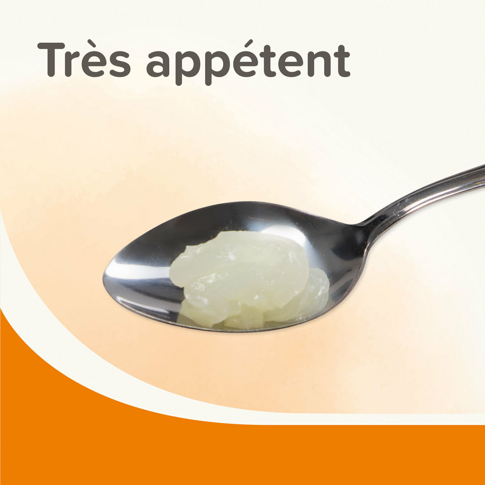 Graisse de mouton pour chien