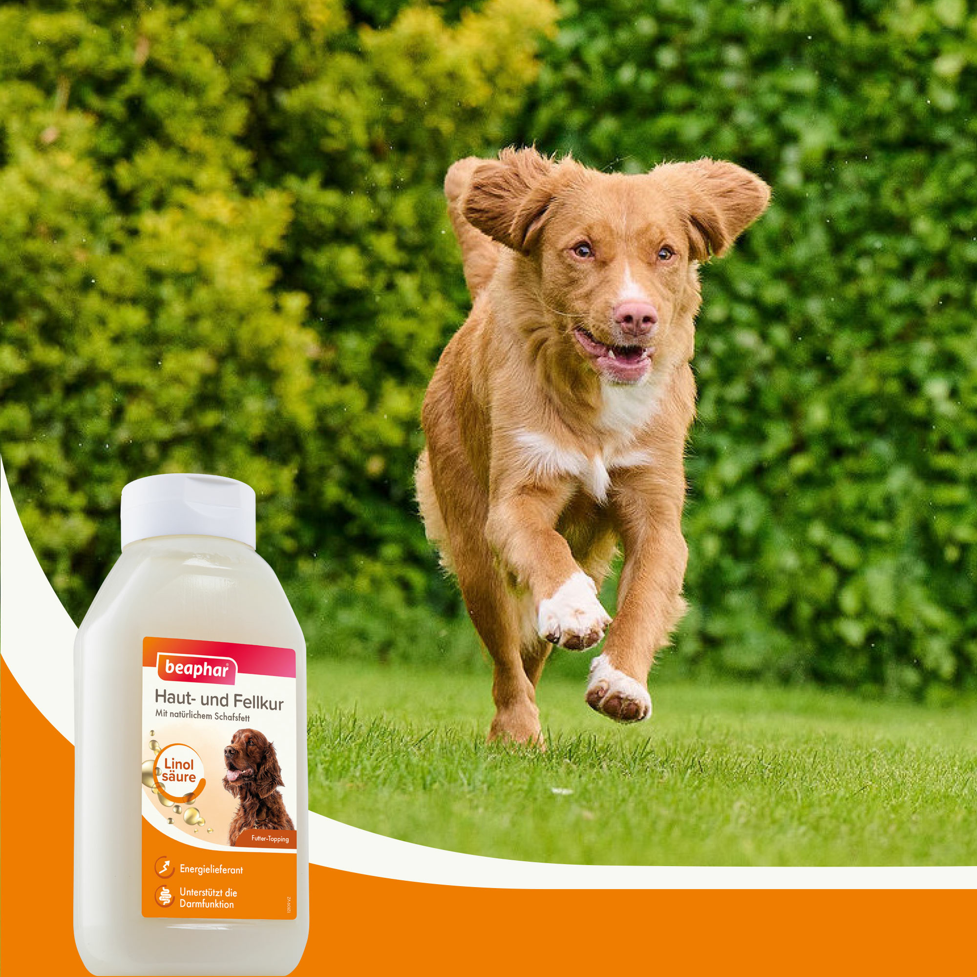 Haut- und Fellkur, 430ml