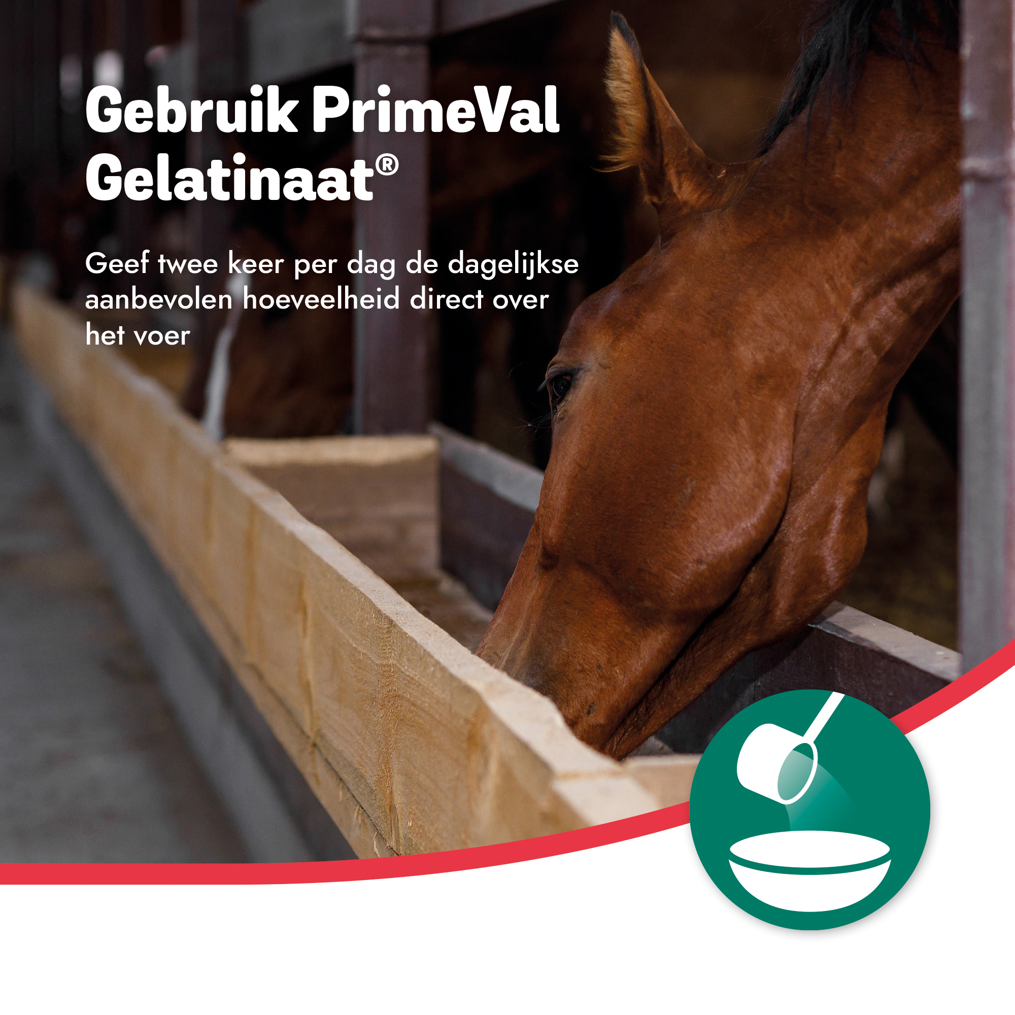 PrimeVal Gelatinaat - 2 kg