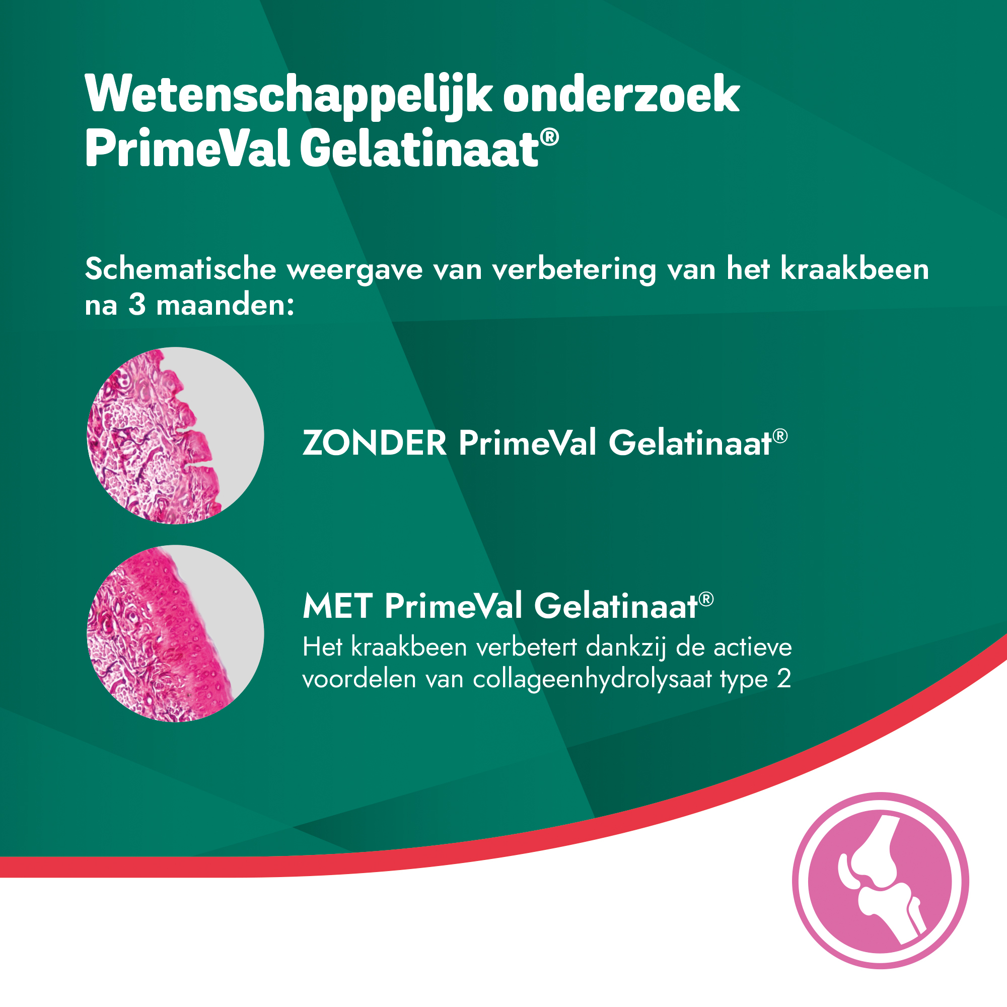 PrimeVal Gelatinaat - 2 kg