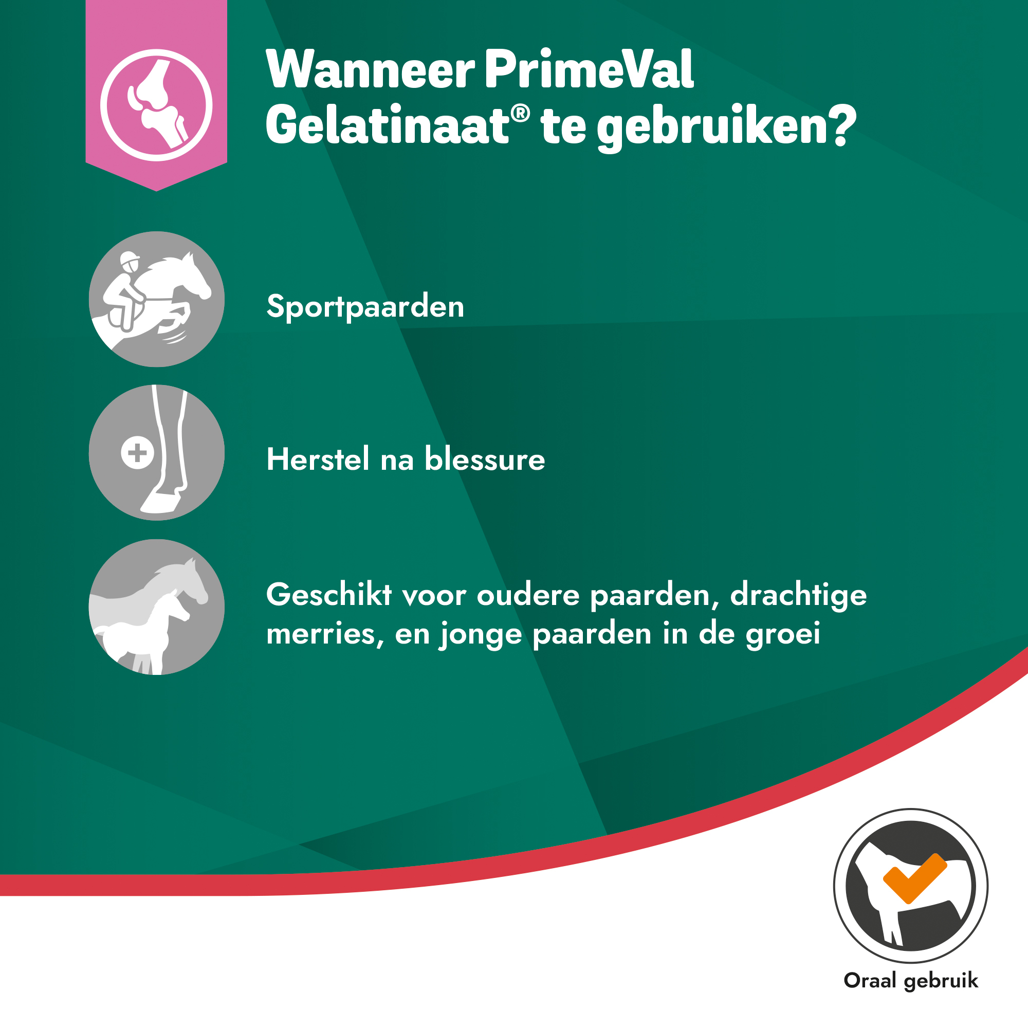PrimeVal Gelatinaat - 2 kg