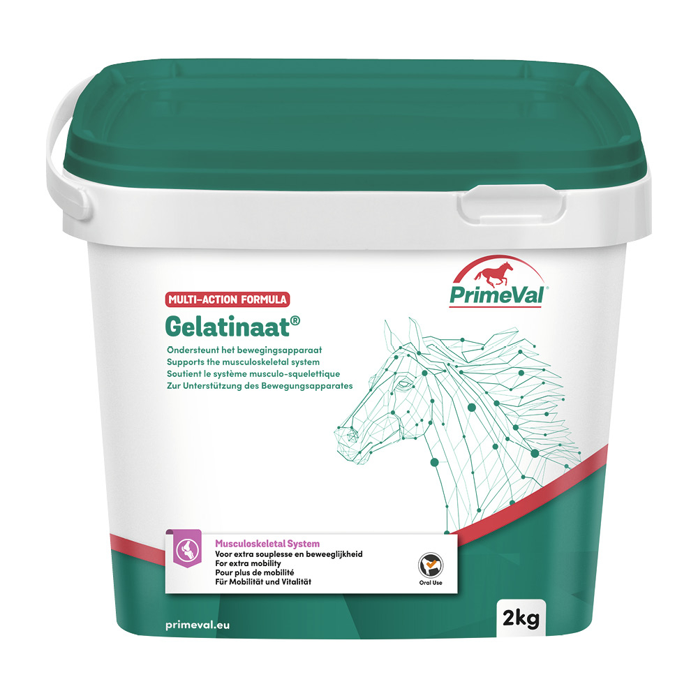PrimeVal Gelatinaat® Pulver 2kg
