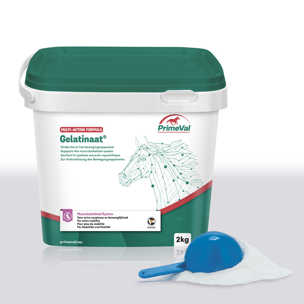 PrimeVal Gelatinaat® Pulver 2kg