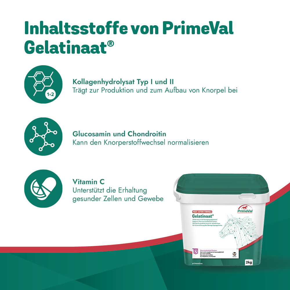 PrimeVal Gelatinaat® Pulver 2kg