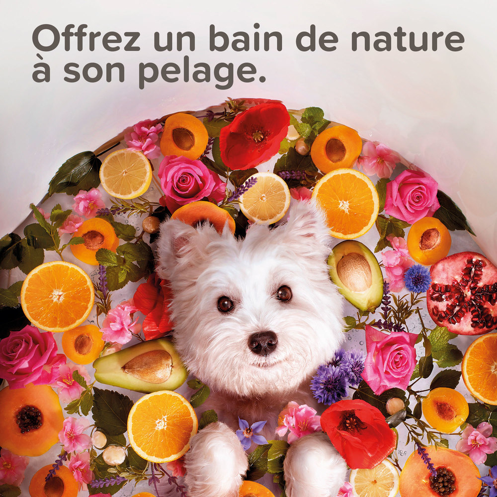 Shampoing Universel tous pelages labellisé ECOCERT pour chien