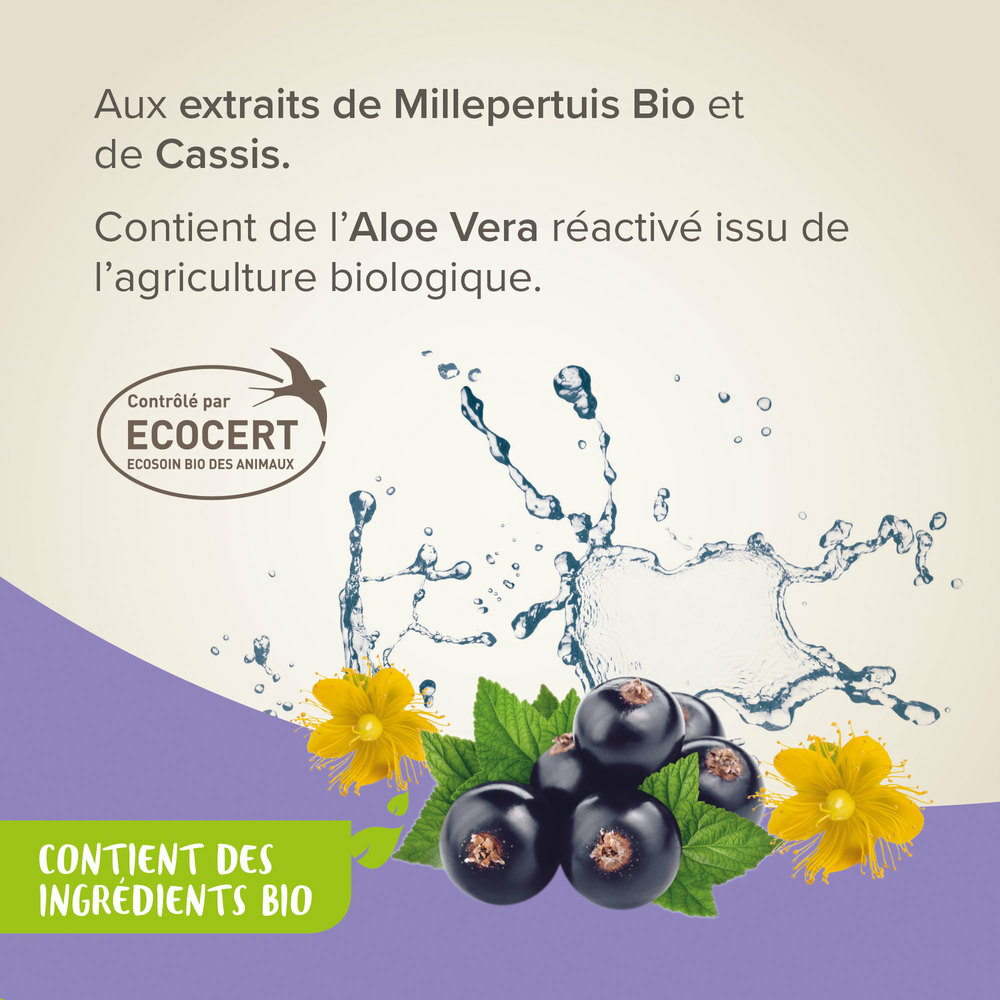 Shampoing anti-démangeaisons labellisé ECOCERT pour chien