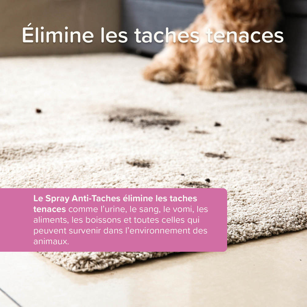 Spray Anti-Taches aux Probiotiques - 500 ml