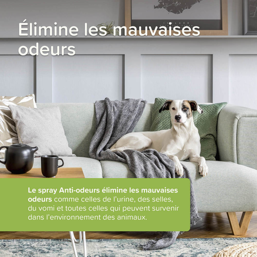 Spray Anti-Odeurs aux Probiotiques - 500 ml