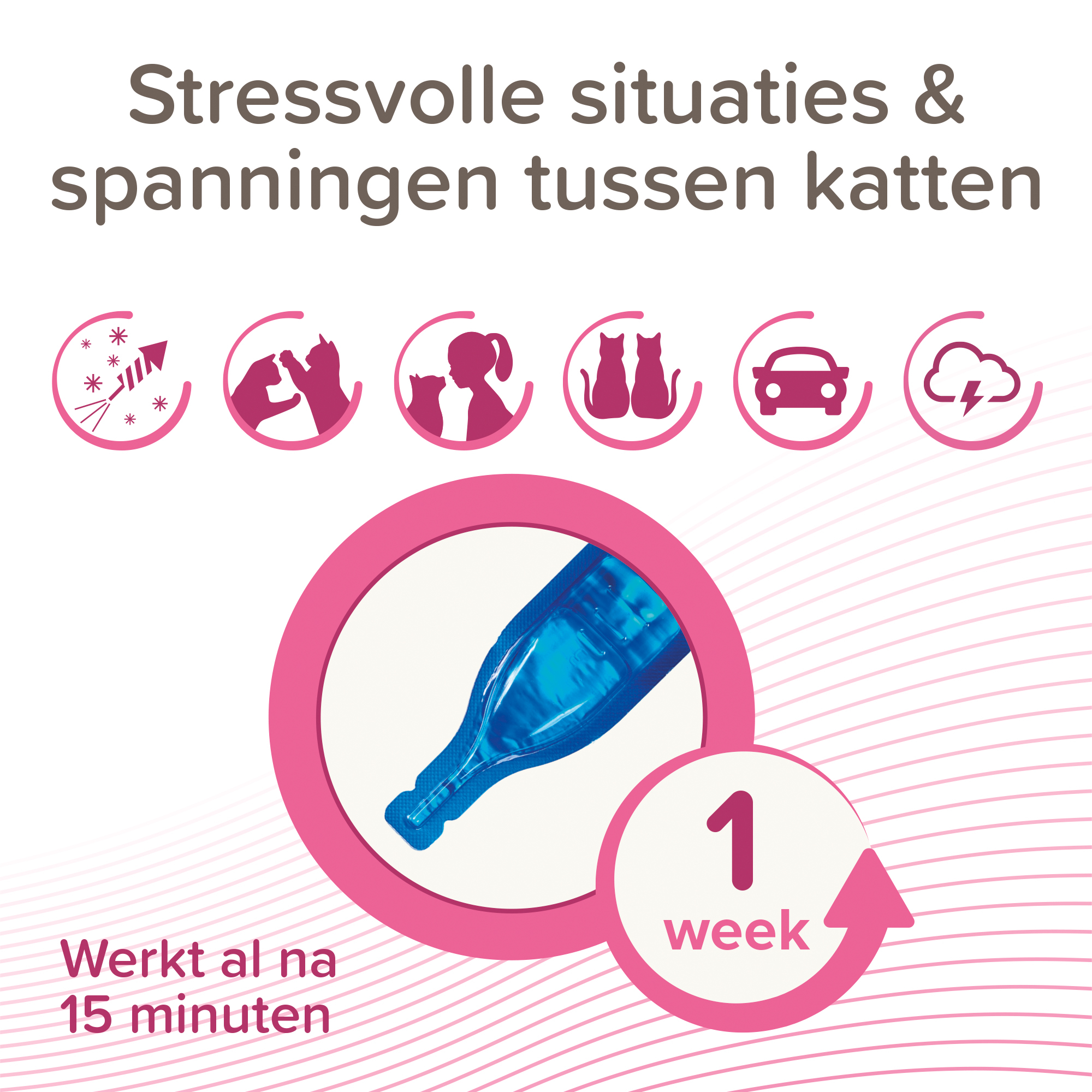 Beaphar CatComfort® Rustgevende Spot-On 3st