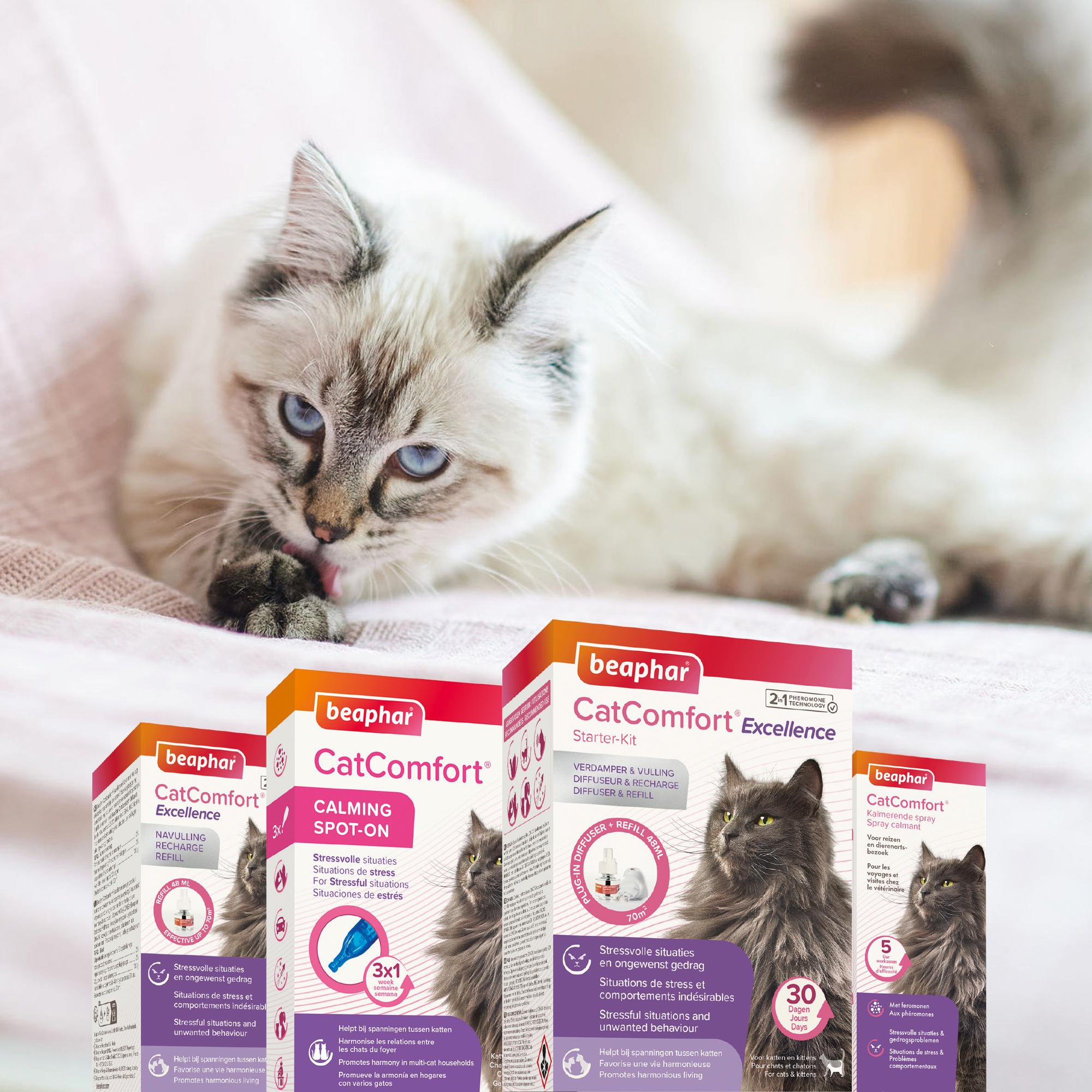 Beaphar CatComfort® Rustgevende Spot-On 3st