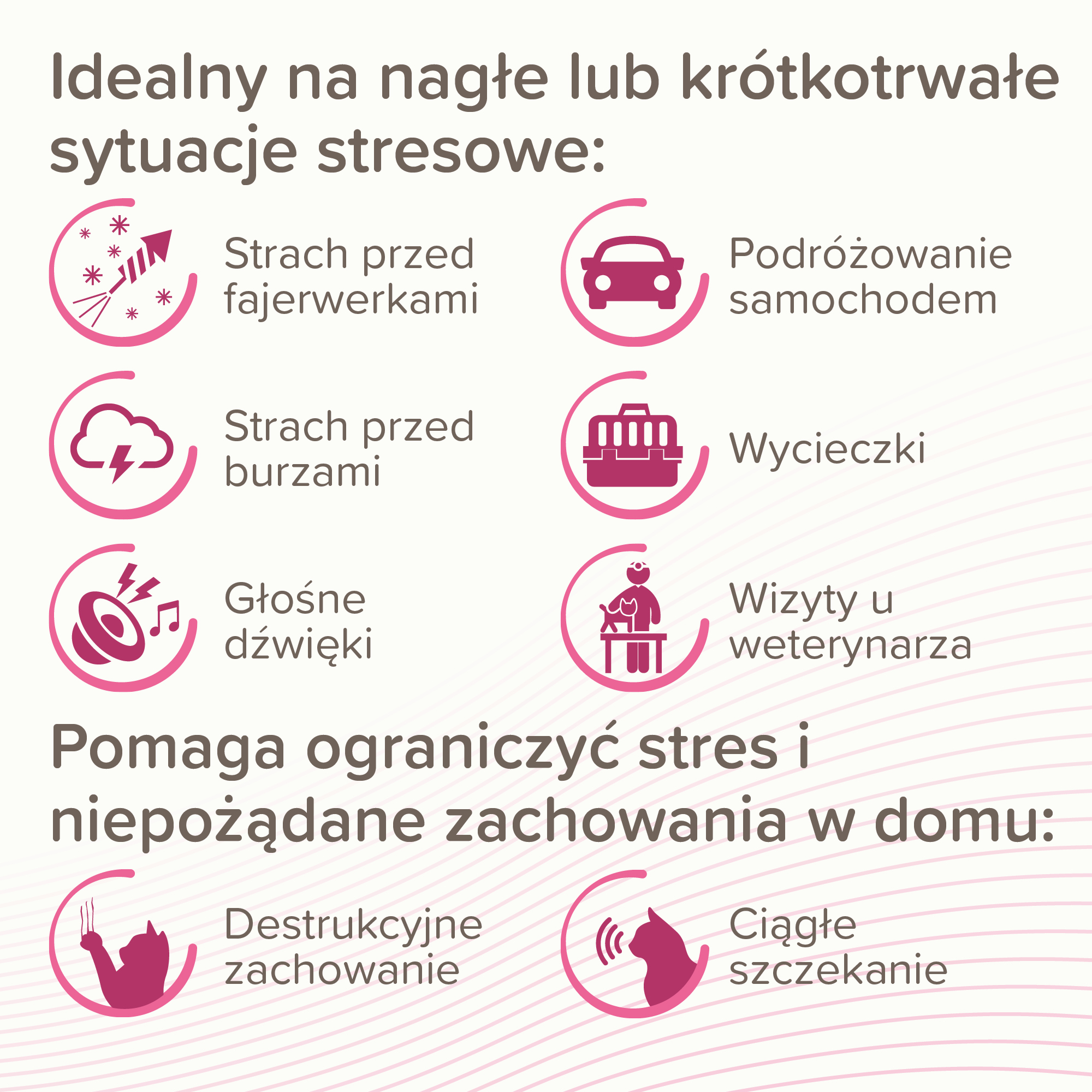 CatComfort® Spot On