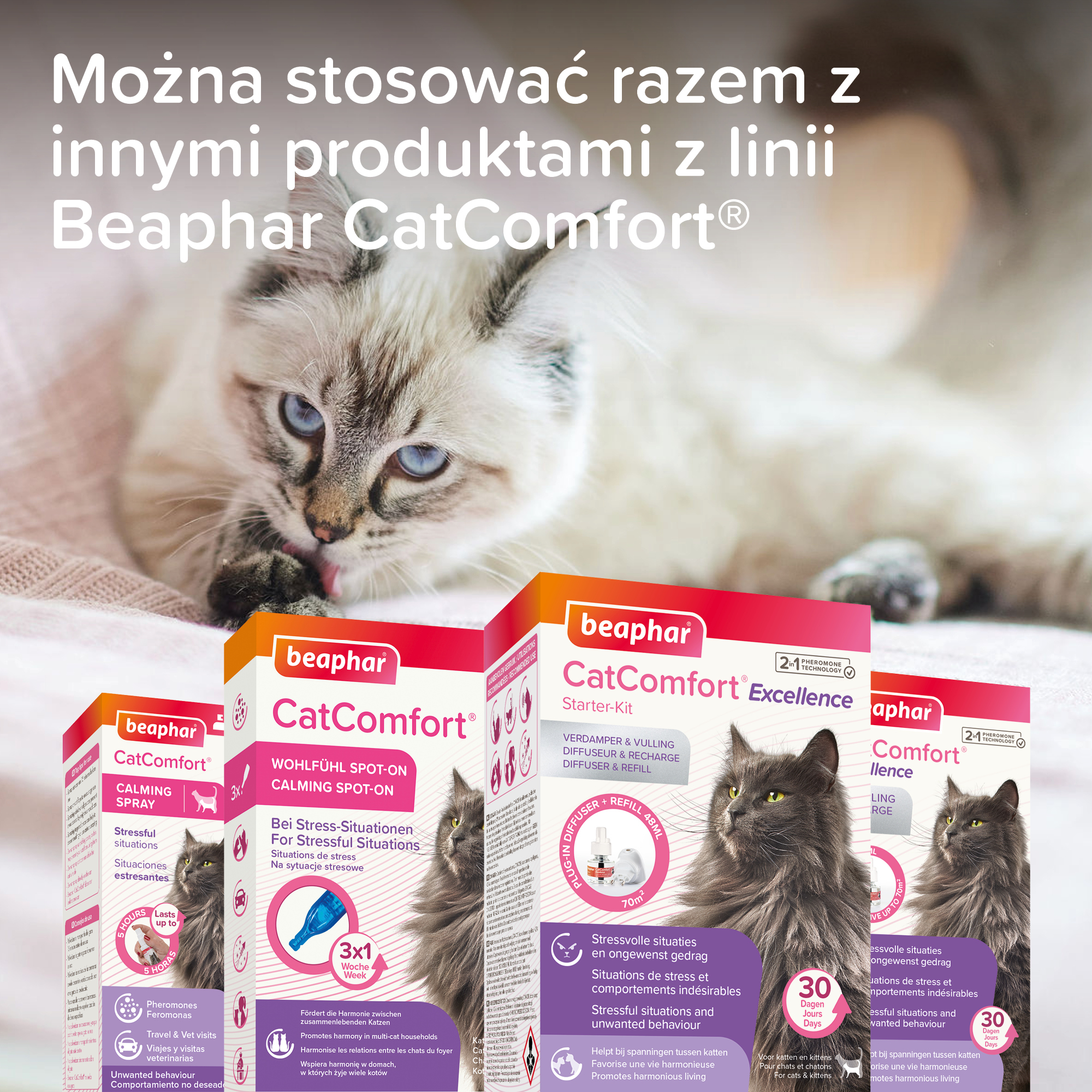 CatComfort® Spot On