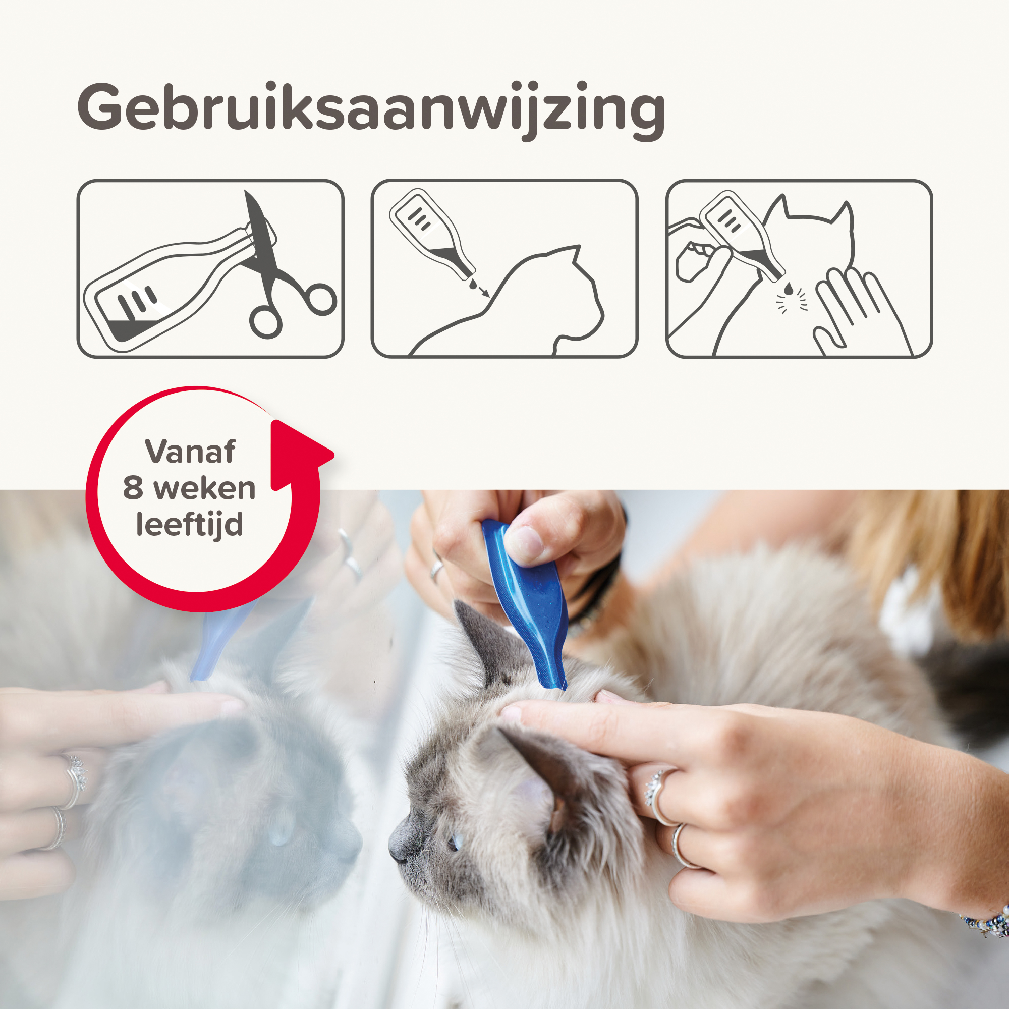 Beaphar COMBOtec® Spot-On kat 2 pipetten