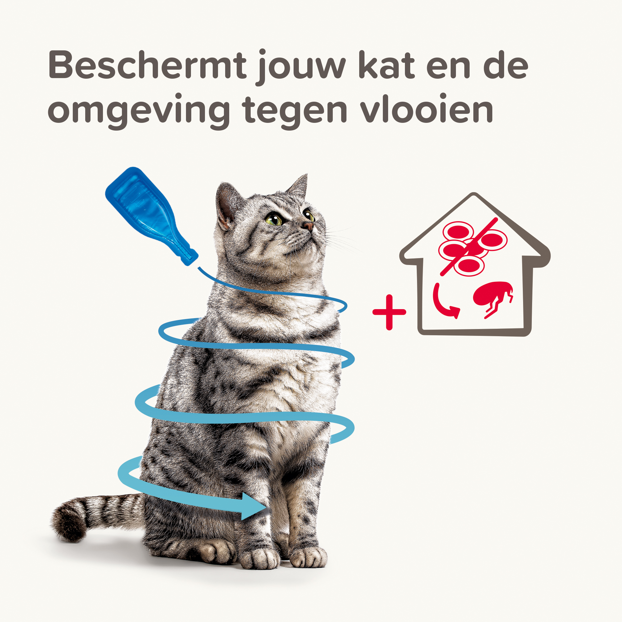 Beaphar COMBOtec® Spot-On kat 2 pipetten